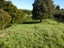 543 Three Mile Bush Road, Te Kamo, Whangarei - Carousel 19