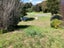 24 FOREST Road, Waitarere Beach, Levin - Carousel 3