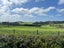 61 Haszard Road, Massey, Auckland - Carousel 19