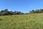 6 Coulter Road, Swanson, Auckland - Carousel 2