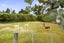 381 Horokiwi Road, Horokiwi, Wellington - Carousel 39