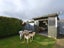 177 Bamborough Street, Richmond, Invercargill - Carousel 15
