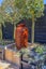 29 Greystoke Lane, Avonhead, Christchurch - Carousel 29