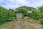 2 Larkins Way, Arthurs Point, Queenstown - Carousel 17