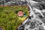 114 Albany Heights Road, Albany - Carousel 2