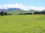 222 Armstrong Road, Dannevirke - Carousel 9