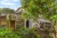 15A Henry Street, Avondale, Auckland - Carousel 19