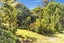 139 Barnett Avenue, Best Island, Richmond - Carousel 27