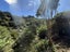 367 Ohiro Road, Brooklyn, Wellington - Carousel 4