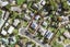 9 Lomas Place, Manurewa, Auckland - Carousel 18