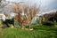 213 Regent Street, Heidelberg, Invercargill - Carousel 14