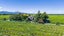 174 Dog Point Road, Hawkesbury, Renwick - Carousel 28