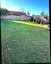 191 Swanson Road, Henderson, Auckland - Carousel 6