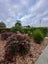 10 Steppe Drive, Ramarama, Drury - Carousel 14