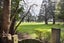 506 Albert Street, Hokowhitu, Palmerston North, Manawatu / Whanganui - Carousel 26