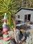 586A Pataua South Road, Pataua South, Parua Bay - Carousel 1