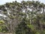 162 Greenhithe Road, Greenhithe, Auckland - Carousel 21