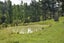 69 Matakohe Wharf Road, Matakohe, Matakohe - Carousel 43