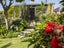 19 Rossgrove Terrace, Mount Albert, Auckland - Carousel 22