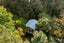 240 Cave Road, Waimatā - Carousel 13