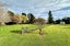 173 Taiepa Road, Otatara - Carousel 40