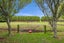 460 Hurford Road, Hurford, New Plymouth - Carousel 21