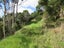 320 Takahue Saddle Road, Takahue, Kaitaia - Carousel 24