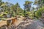20B Sea View Road, Ostend, Waiheke Island - Carousel 22
