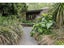 104 Wakelin Road, Kerikeri, Kerikeri - Carousel 3