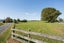 118 Costall Road, Wardville, Waharoa - Carousel 26