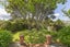 31 Chester Road, Tawa, Wellington - Carousel 6