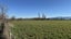 250 South Road, Solway, Masterton - Carousel 9