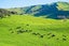 0 Lake Road, Raglan, Taupiri - Carousel 19