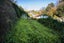 107 Milton Road, Bluff Hill, Napier - Carousel 14