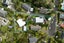 10 Stallard Place, Glen Eden, Auckland - Carousel 25