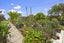 38 Norrie Avenue, Raglan, Raglan - Carousel 22
