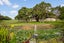58 Morley Road, Waiuku, Waiuku - Carousel 5