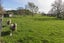 127 BRUNSWICK DRIVE, Tikitere, Rotorua - Carousel 20