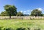 691 Top Grass Road, Dannevirke, Dannevirke - Carousel 13