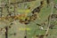 125 Ponga Road, Opaheke, Papakura - Carousel 8