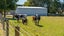 645 Tancreds Road, Christchurch - Carousel 14