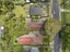 63 Brunner Road, Glen Eden, Auckland - Carousel 25
