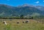 7 Skevingtons Road, HAPUKU, KAIKOURA - Carousel 6