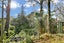 57 Meadowbank Road, Meadowbank, Auckland - Carousel 20
