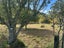 106A Totara Road, Ararimu, Drury - Carousel 12