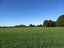 0 Ellison Rd, Norsewood - Carousel 14