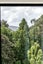 72A Rukutai Street, Orakei, Auckland - Carousel 16