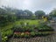 1 Kinapori Terrace, Newlands, Wellington - Carousel 3