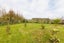 46 Nuku Street, Tangimoana, Tangimoana - Carousel 12