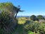 335 Lindemann Road, Tahawai, Katikati - Carousel 6
